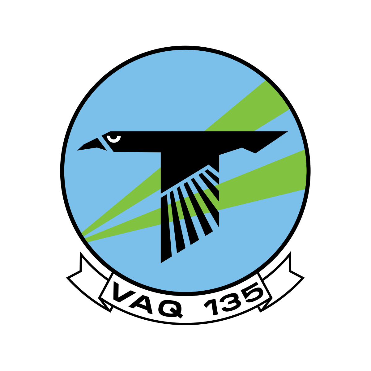 VAQ-135 Black Ravens