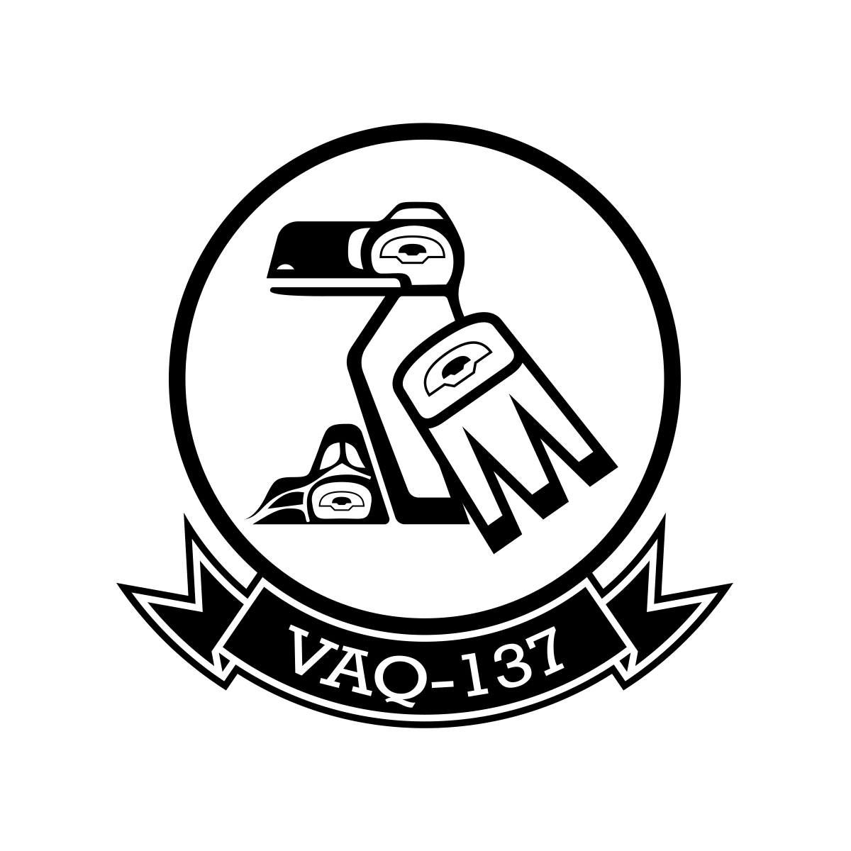 VAQ-137 Rooks