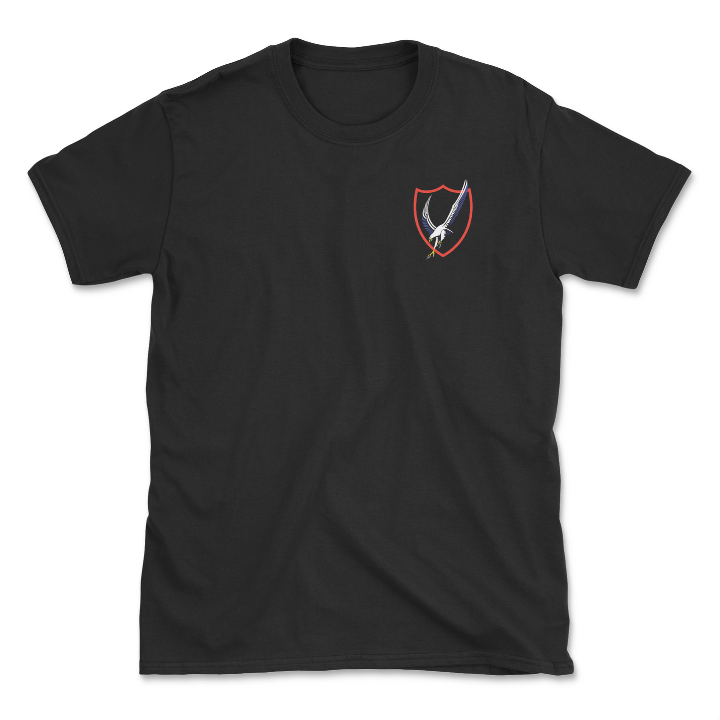 Black t-shirt with squadron patch.