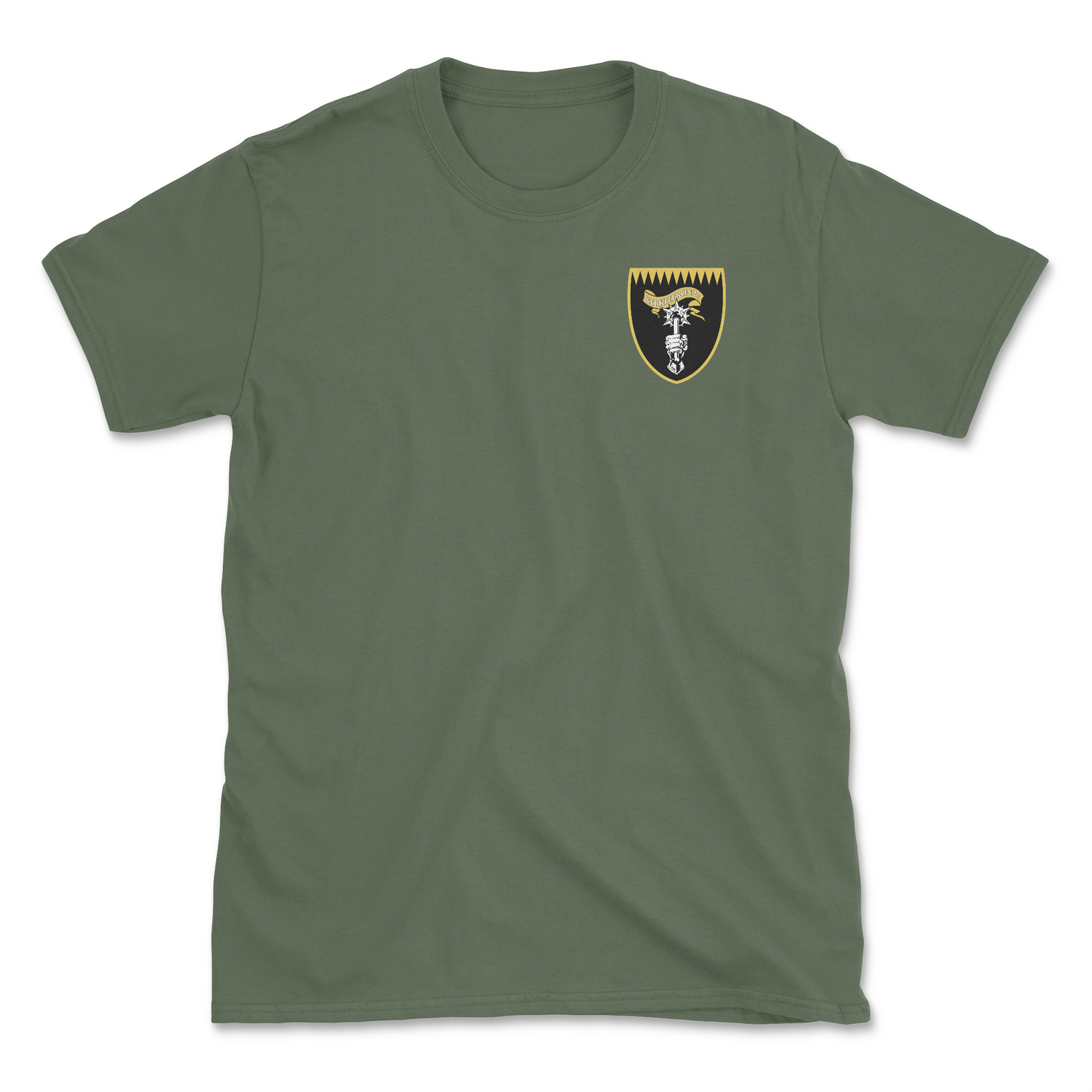 Military green t-shirt with squadron patch.
