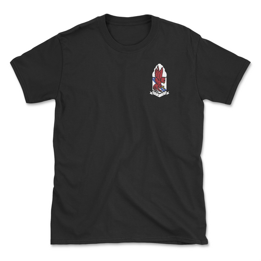 Black t-shirt with squadron patch.